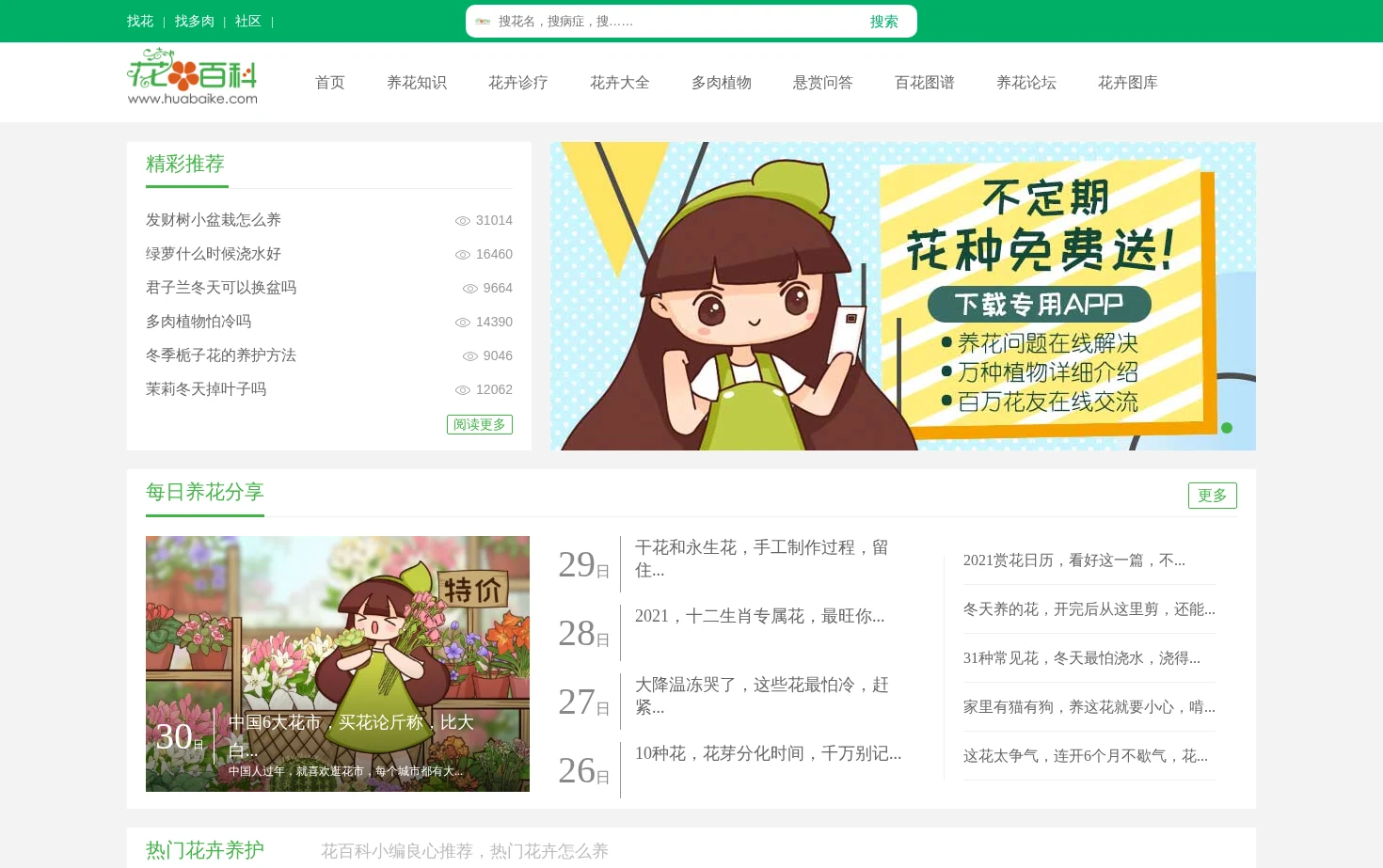 花百科 页面快照